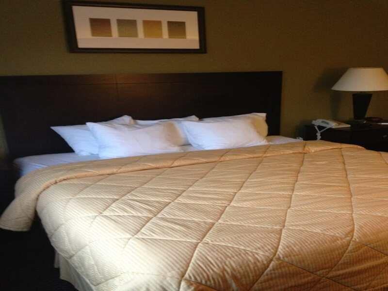 Quality Inn West Plano - Dallas Buitenkant foto